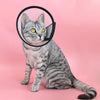 Pet Cone Collar for Cats & Dogs, Anti-Lick & Bite, 12.5cm