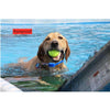 Dog Training Collar 500m Remote Rechargeable Shock Vibration Waterproof