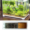 LCD Digital Aquarium Thermometer, 3D Gold, -50°C to +70°C