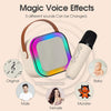 Outdoor Home Portable Wireless Karaoke Sound Cell Phone Integrated Microphone Smart Speaker, Style: With Single Mic White