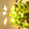 LED Plant Growth Full Spectral Fill Light E27 Clip Plant Lamp Indoor Corn Light, Without Power Adapter, Power: 2 Heads