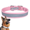 Reflective PU Leather Dog Collar, Pink XL