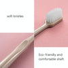 2 Boxes RAOYI Nano Toothbrush Ceramic Hand Brush Handle(Makaron)