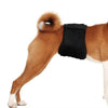 Male Dog Special Courtesy Belt Pet Physiological Pants, Size: S(Brown)