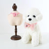 Sequin Bow Tie Cat Collar, Adjustable, S 17-32cm