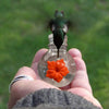 Hummingbird Feeder, Outdoor Hanging Bird Feeder, Easy Clean