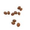 10 PCS 1:12  Mini House Toy Fruit Simulation Kiwi Kitchen Accessory Mini House Toy(Brown)