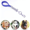 Short Bungee Dog Lead with Foam Handle - Medium/Large - Blue - 40cm