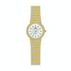 BS Bee Sister  FA1101 Women Chain Watch Starry Diamonds Wrist watch(Golden  Scale  Surface)