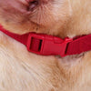 Doglemi Breathable Dog Muzzle, XXL, Red - Stop Barking & Biting