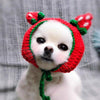 Strawberry Cat Hat | Knitted Pet Hat | Small