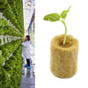 27x20mm Agricultural Hydroponic Seedling Sowing Rock Wool Plug(50pcs)
