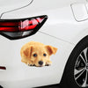 Style 1 Large 3D Simulation Dog Car Stickers Rain-Proof Sunscreen Car Sticker Scratch Shaving Decoration Stickers