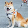 Reflective Blue Dog Harness, Breathable Padded Chest Harness, M