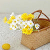 Simulated Flower Arrangement Table Ornament Picnic Photo Props, Style: 5pcs White Daisy Transparent Bag