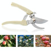 Garden Tools Stainless Steel Pruning Shears Fruit Tree Scissors Garden Branch Shears(Elbow)