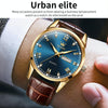 OLEVS 6896 Men Multifunctional Luminous Waterproof Quartz Watch(Blue)