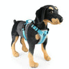 Reflective Dog Harness Vest, Breathable Nylon, Dual Leash, Blue, M