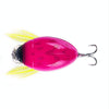 HENGJIA Insect Floating Water Bionic Bait Beetle Water Surface Bass Tap Fake Bait, Color: 6