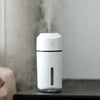 Large Capacity 320ml LED Automatic Humidifier Sprayer, Battery Version(White)