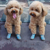 4 PCS / Set Breathable Non-slip Wear-resistant Dog Shoes Pet Supplies, Size: 3.3x4cm(Khaki)