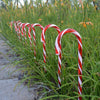 10 in 1 Christmas Cane Lights Holiday Indoor Garden Decoration Lights(AU Plug)