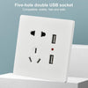 Universal Standard Wall Socket with 2 x USB Ports