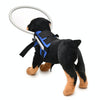 Blind Dog Halo S (Blue) - Anti-Collision Ring for Small Dogs (4-10kg)