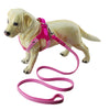 Breathable Microfibre Dog Harness, Magenta, L, with Lead