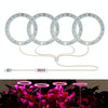 LED Plant Growth Lamp Full Spectroscopy Intelligent Timing Indoor Fill Light Ring Plant Lamp, Power: Four Head(Pink Light)