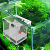 Fish Breeding Isolation Box | Aquarium Fry Incubator | Small