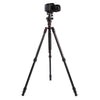 Triopo GT-2504X8.C Adjustable Portable Carbon Fiber Tripod with B-1 Aluminum Ball Head for Canon Nikon Sony DSLR Camera(Black)