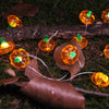 LED Halloween 3D Pumpkin String Lights Bar Shop Ambience Scene Layout Decorative Lanterns, Style: 20 LEDs Flashing(Warm White)