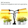 LED Clip Plant Light Timeline Remote Control Full Spectral Fill Light Vegetable Greenhouse Hydroponic Planting Dimming Light, Specification: Two Head UK Plug