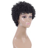 WIG-T003 Ladies High Temperature Silk Short Curly Wig Elastic Mesh Headgear(Black)