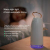 TSHM0 Mini Angel Atomizing Humidifier with Colorful Night Lights, Water Tank Capacity: 230mL (Silver)