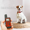 Dog Training Collar 500m Remote Shock Waterproof Orange