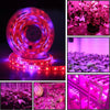 5m 300 LEDs SMD 5050 Full Spectrum LED Strip Light Fitolampy Grow Lights for Greenhouse Hydroponic Plant Waterproof(5 Red 1 Blue)