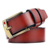 Dandali L8038 Men Casual Retro Pin Buckle Leather Belt Waistband, Length: 115cm (Brown)