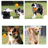 Sounding Hedgehog Ball Dog Toy - 9cm, Tough TPR, Medium/Large Dogs
