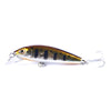 HENGJIA 5.5cm 6.6g Mino Luya Fake Bait Long Casting Sinking Bionic Lure(4)