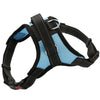 K9 Breathable Dog Harness, XS, Sky Blue - Adjustable & Lightweight