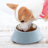 Stainless Steel Pet Food & Water Bowl - Blue - Cat & Dog