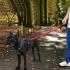 HCPET Bungee Dog Lead | Heavy Duty, 120cm (Black)