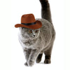 Adjustable Pet Cowboy Hat (Wine Red, M) - Dog & Cat Costume