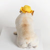 Pet Summer Sun Hat - Yellow Grid - Small
