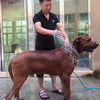 Pet Shower Brush with Hose - Dog & Cat Grooming Tool