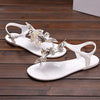 Peep Toe Jelly Butterfly Flip Flops Summer, Shoe Size:38(White)