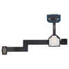 Google Pixel 4 XL Flashlight Flex Cable Replacement