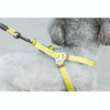 Small Dog Collar, Harness & Leash Set, Yellow, S (8kg Max)